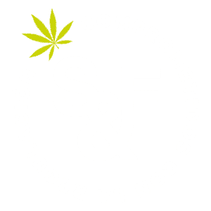 sf comprometidos